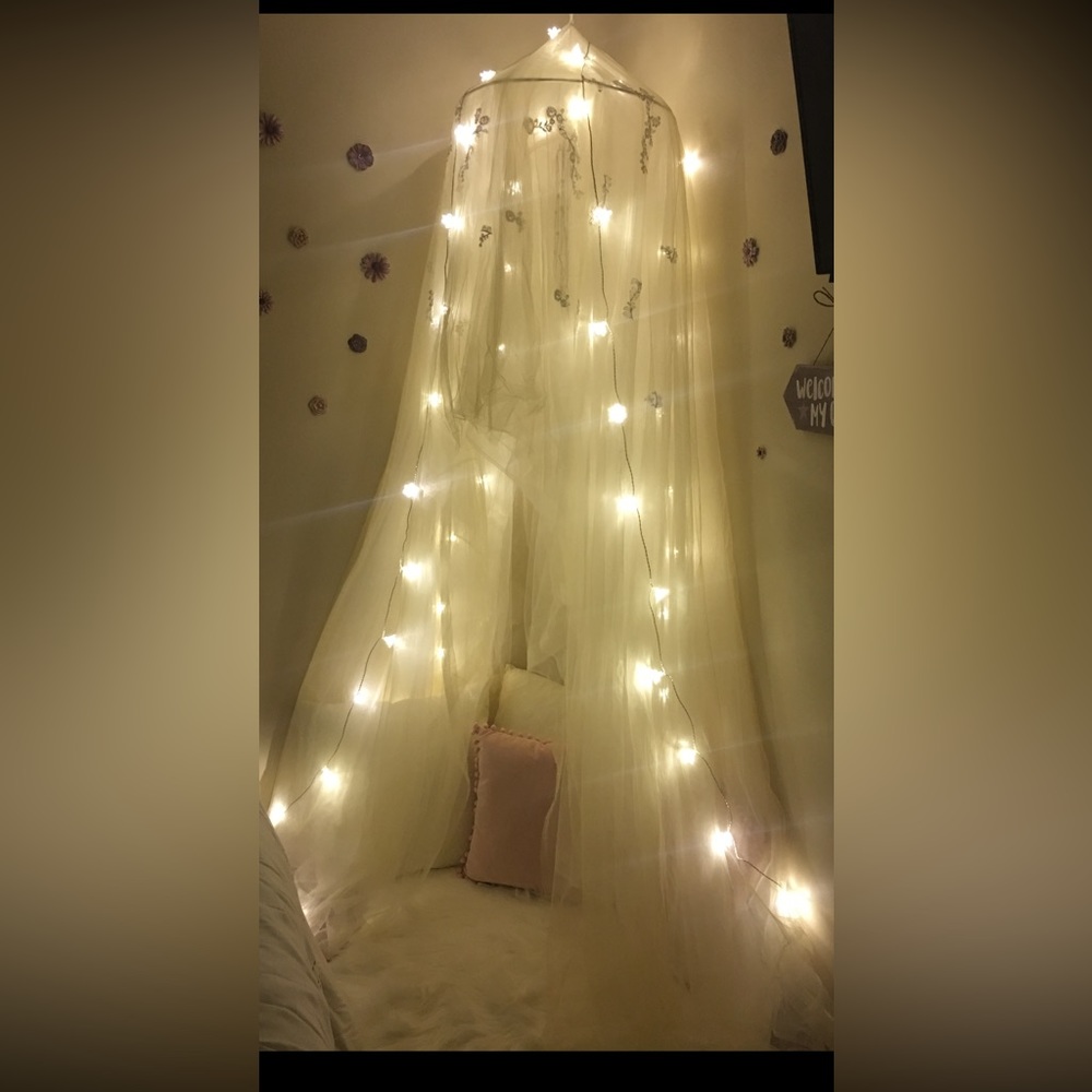 Canopy pottery barn kids